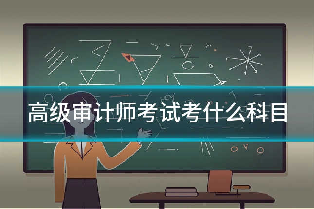 高级审计师考试考什么科目