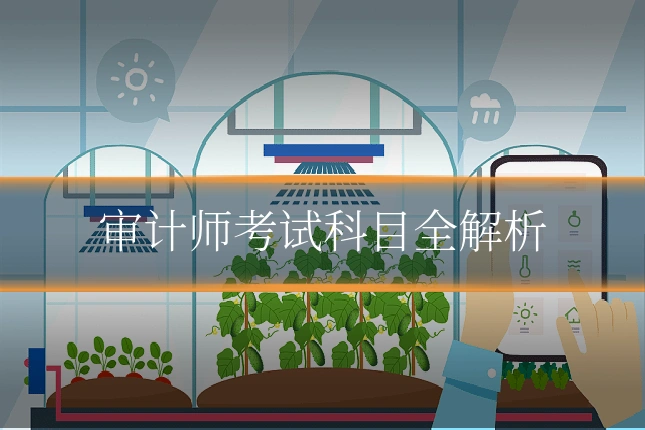 审计师考试科目全解析
