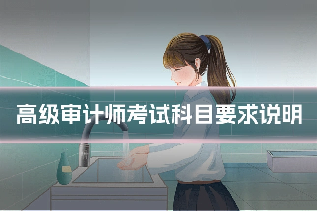 高级审计师考试科目要求说明