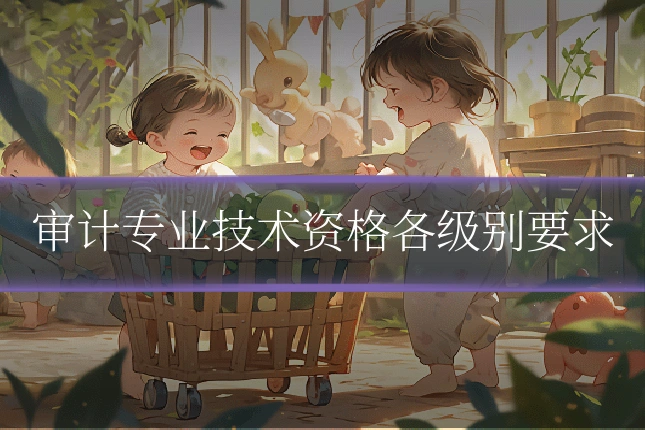 审计专业技术资格各级别要求