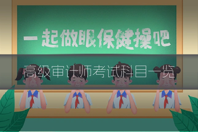 高级审计师考试科目一览