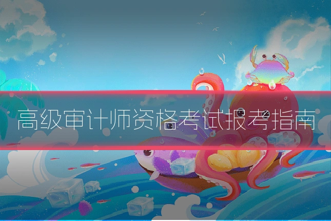 高级审计师资格考试报考指南