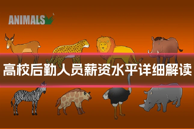 高校后勤人员薪资水平详细解读