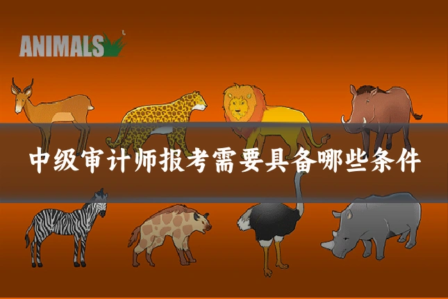 中级审计师报考需要具备哪些条件