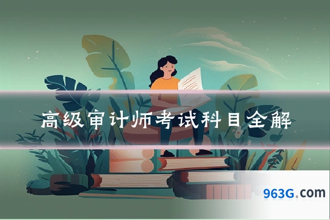 高级审计师考试科目全解