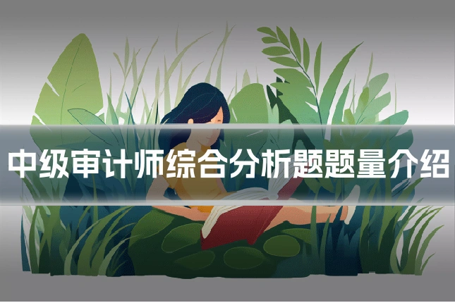中级审计师综合分析题题量介绍