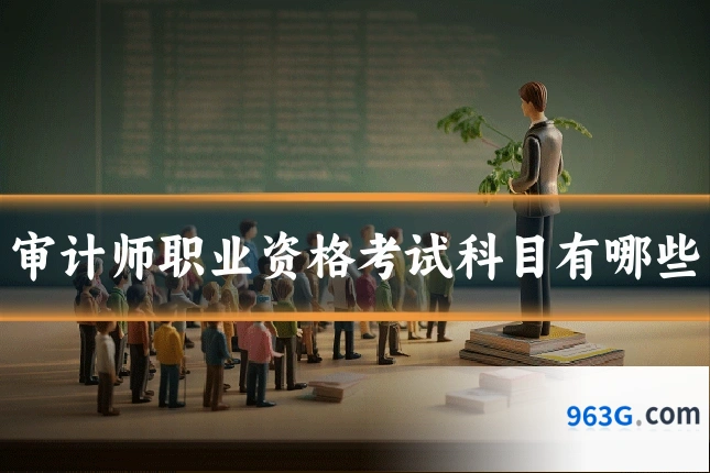 审计师职业资格考试科目有哪些