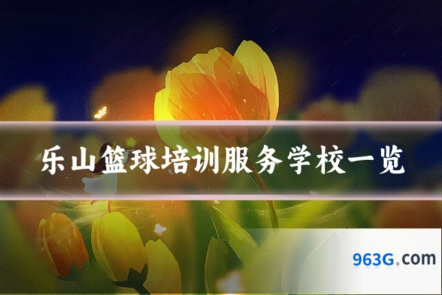 乐山篮球培训服务学校一览
