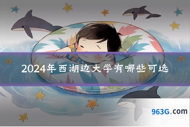 2024年西湖边大学有哪些可选