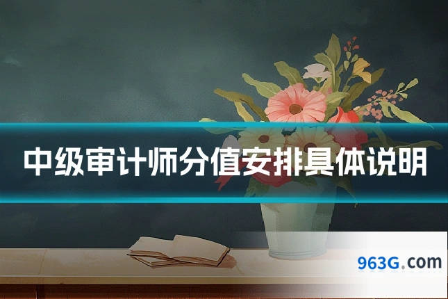 中级审计师分值安排具体说明