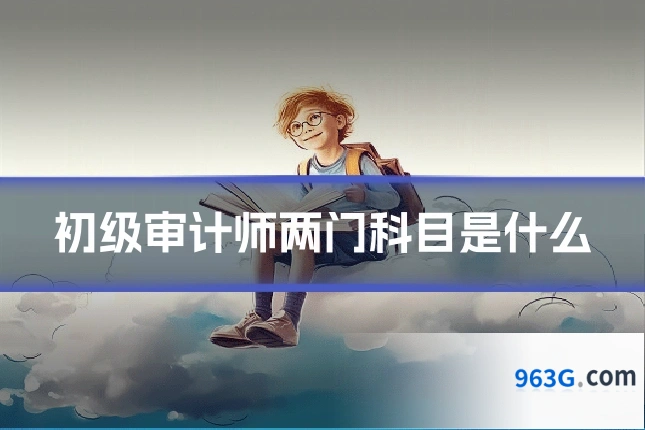 初级审计师两门科目是什么