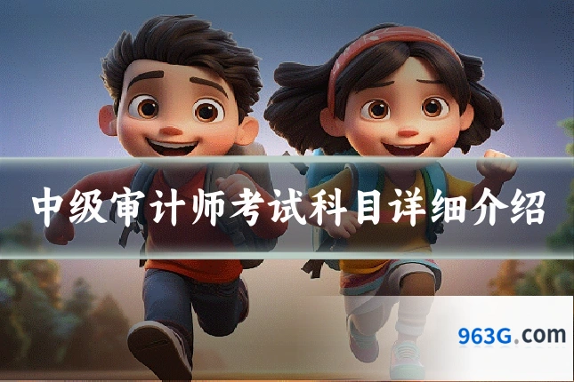 中级审计师考试科目详细介绍