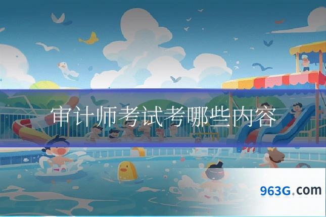 审计师考试考哪些内容