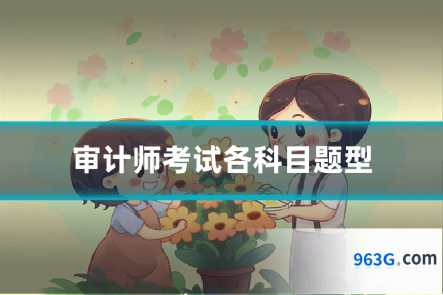 审计师考试各科目题型