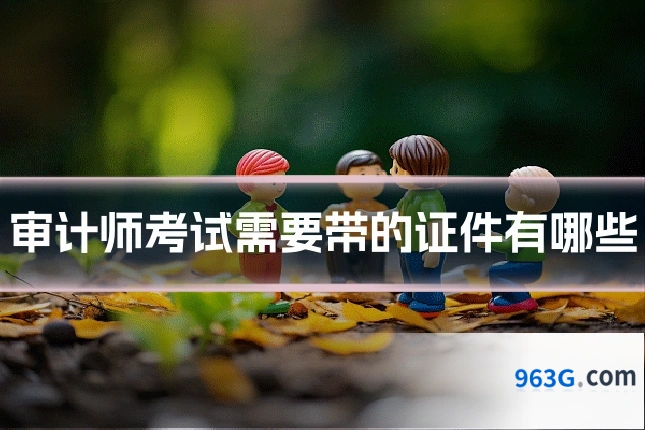 审计师考试需要带的证件有哪些