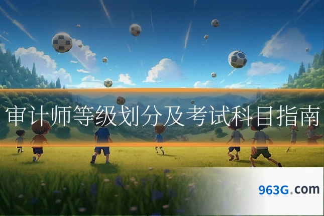 审计师等级划分及考试科目指南