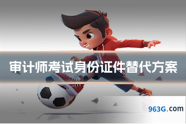 审计师考试身份证件替代方案