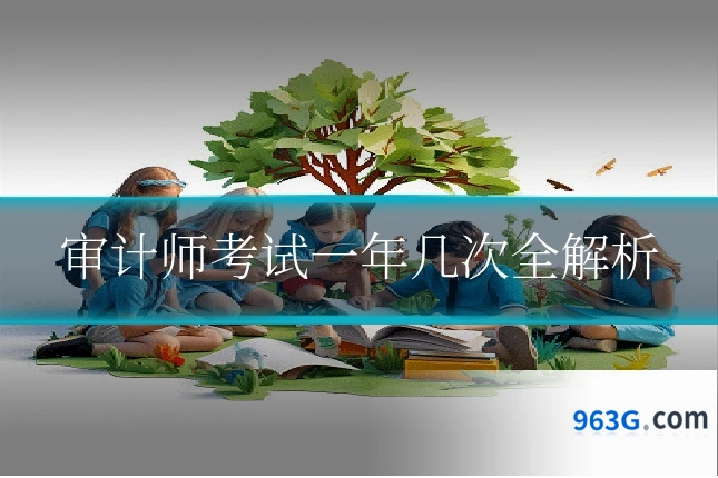 审计师考试一年几次全解析