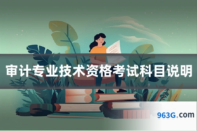 审计专业技术资格考试科目说明