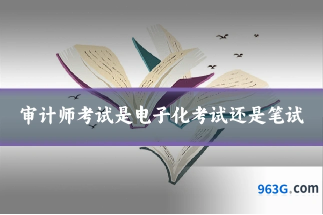 审计师考试是电子化考试还是笔试