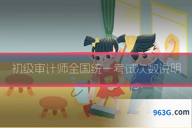 初级审计师全国统一考试次数说明