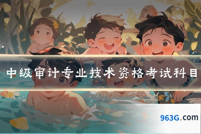中级审计专业技术资格考试科目