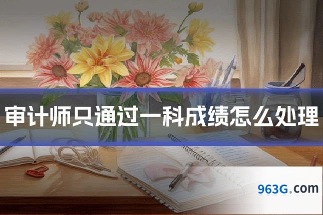 审计师只通过一科成绩怎么处理