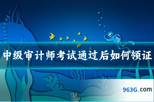 中级审计师考试通过后如何领证