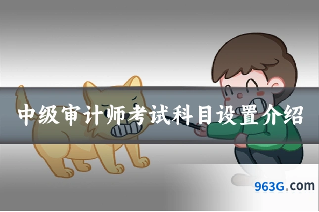 中级审计师考试科目设置介绍