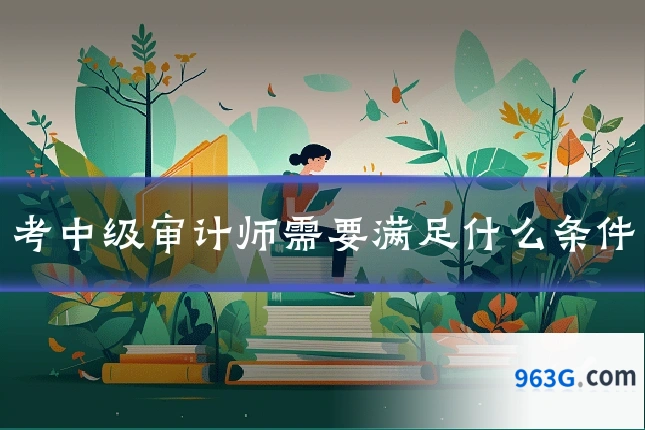 考中级审计师需要满足什么条件