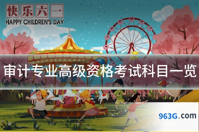 审计专业高级资格考试科目一览