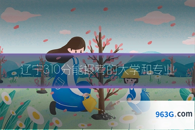 辽宁310分能报考的大学和专业