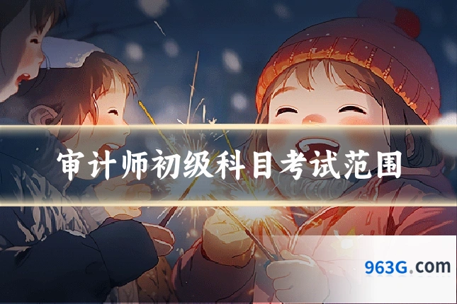 审计师初级科目考试范围