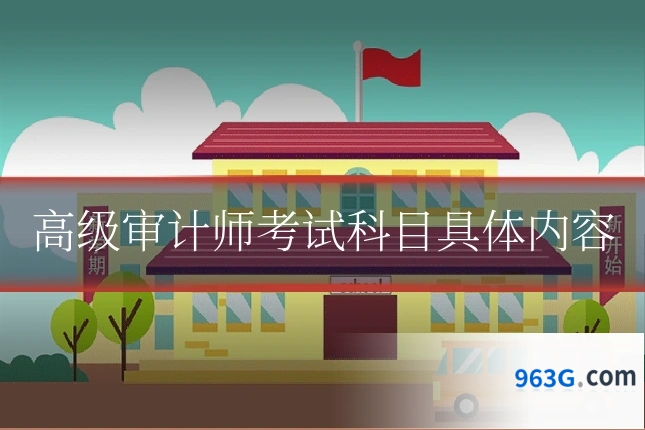 高级审计师考试科目具体内容