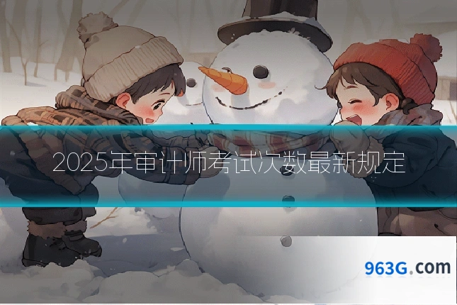2025年审计师考试次数最新规定