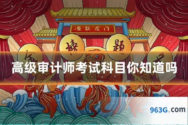 高级审计师考试科目你知道吗