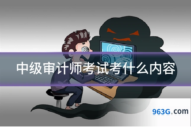 中级审计师考试考什么内容