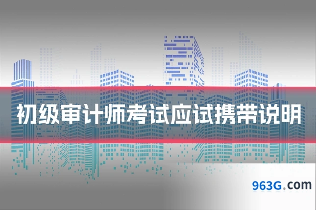 初级审计师考试应试携带说明