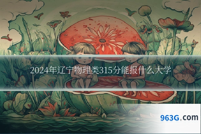2024年辽宁物理类315分能报什么大学