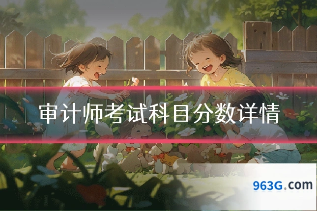 审计师考试科目分数详情