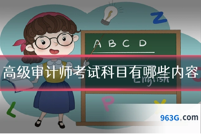 高级审计师考试科目有哪些内容