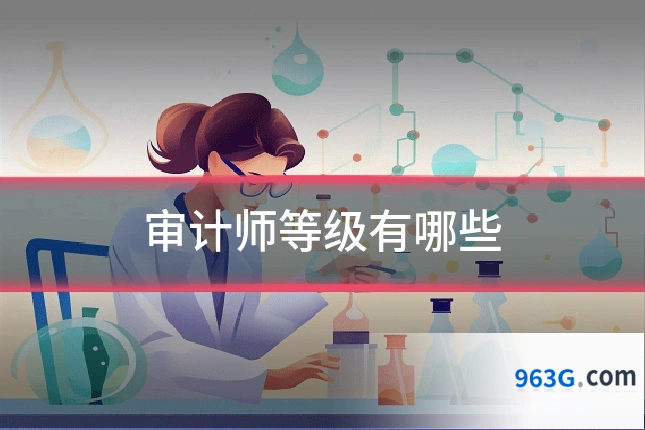 审计师等级有哪些