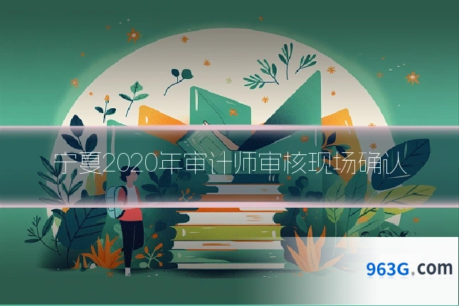 宁夏2020年审计师审核现场确认