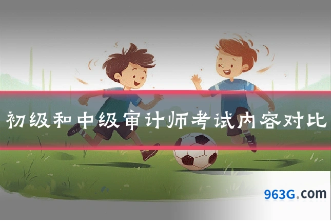 初级和中级审计师考试内容对比
