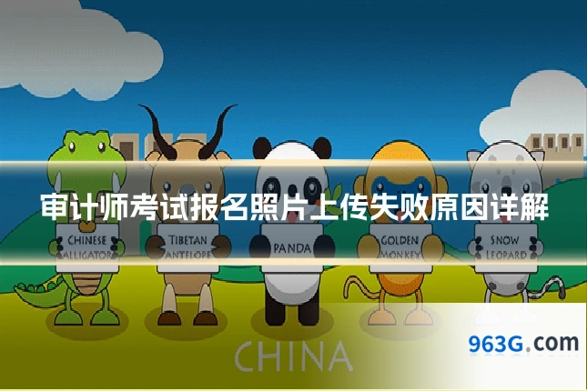 审计师考试报名照片上传失败原因详解