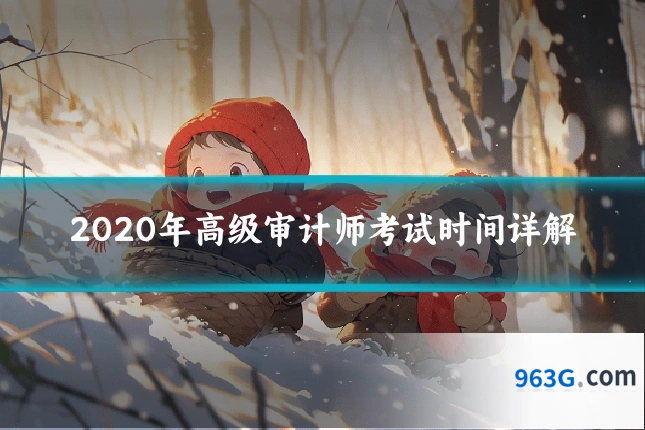 2020年高级审计师考试时间详解