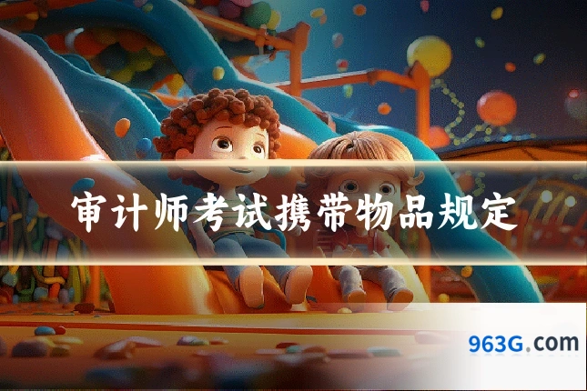 审计师考试携带物品规定