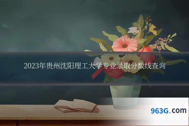 2023年贵州沈阳理工大学专业录取分数线查询
