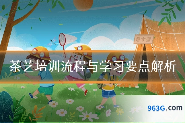 茶艺培训流程与学习要点解析