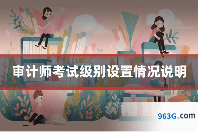 审计师考试级别设置情况说明